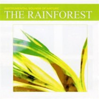 Audio The Rainforest Various Artists