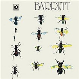 Audio Barrett Syd Barrett