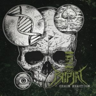 Audio  Chain Reaction Pripjat