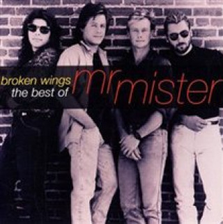 Audio  Broken Wings Mr. Mister