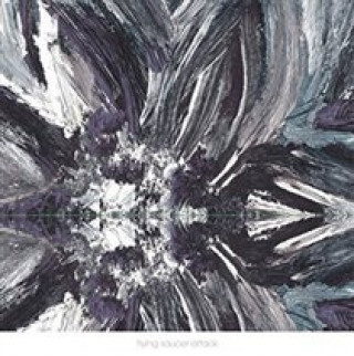 Audio Instrumentals Flying Saucer Attack