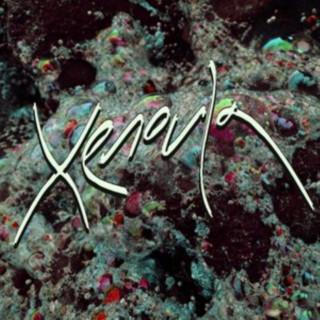 Audio Xenoula Xenoula