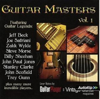 Audio Guitar Masters Various Artists