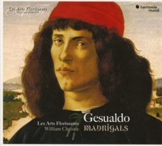 Zvok Gesualdo: Madrigals Christie/Les Arts Florissants