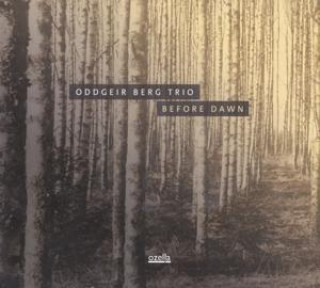 Audio Before Dawn Oddgeir Berg Trio