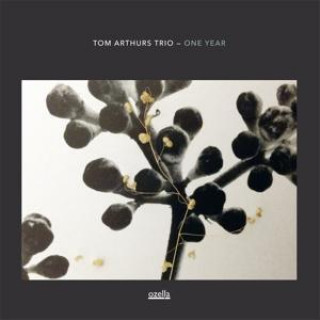 Audio One Year Tom Arthur's Trio