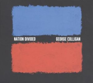 Audio Nation Divided George Colligan