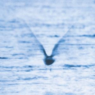 Audio Mellow Dream Ryo Fukui