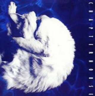 Audio Whirlpool [bonus Tracks] Chapterhouse