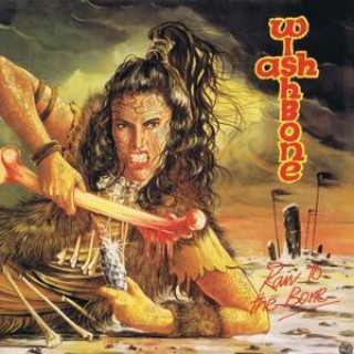 Audio Raw to the Bone Wishbone Ash