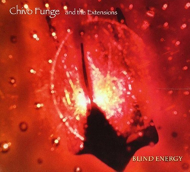 Audio Blind Energy Chivo Funge & The Extensions