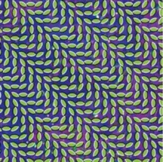 Zvok Merriweather Post Pavilion Animal Collective