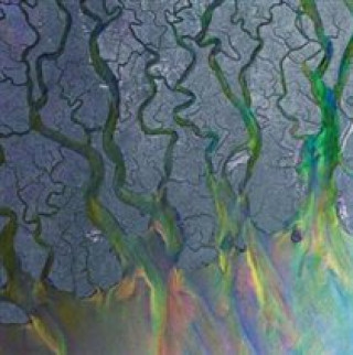 Audio An Awesome Wave Alt-J