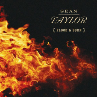 Аудио Flood & Burn Sean Taylor
