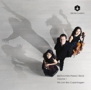 Audio Beethoven: Piano Trios Trio con Brio Copenhagen