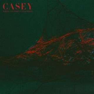 Audio Where I Go When I Am Sleeping Casey