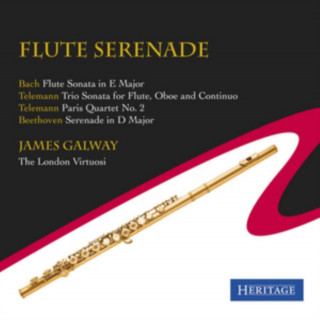 Audio Flute Serenade 