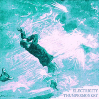 Audio Electricity Thumpermonkey