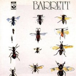 Audio Barrett Syd Barrett