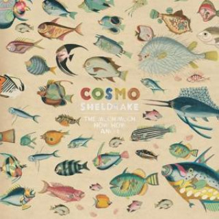 Audio The Much Much How How and I Cosmo Sheldrake