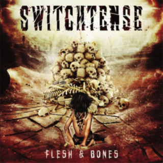 Audio Flesh & Bones Switchtense