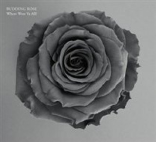 Zvok Where Were Ye All? Budding Rose