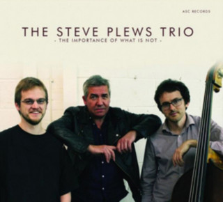 Audio The Importance of What Is Not Steve Plews Trio