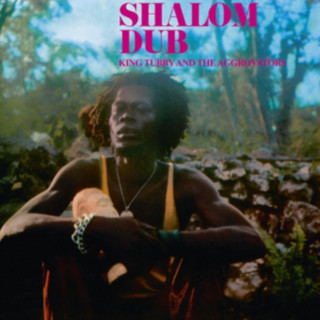 Audio Shalom Dub King Tubby