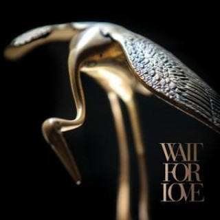 Zvok Wait for Love Pianos Become the Teeth