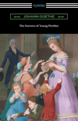 Książka The Sorrows of Young Werther: (Translated by R. D. Boylan) Johann Goethe