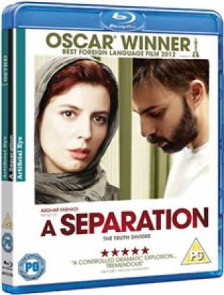 Video Separation Asghar Farhadi