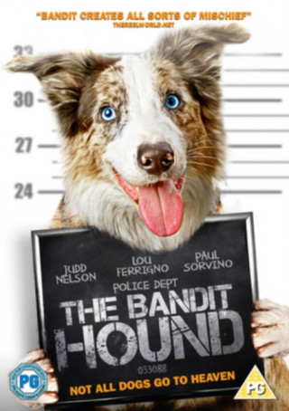 Video Bandit Hound Michelle Danner