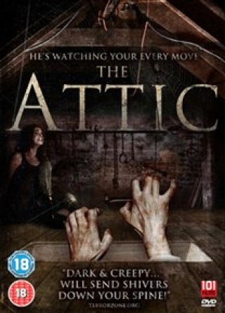 Video Attic Josh Stolberg