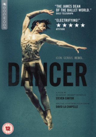 Video Dancer Steven Cantor