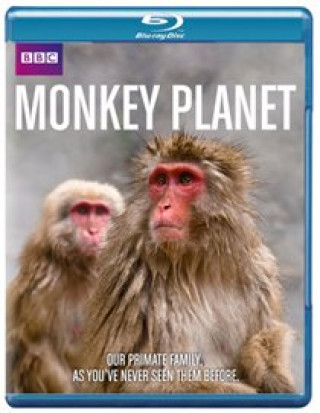 Video Monkey Planet 
