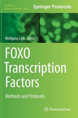 Kniha FOXO Transcription Factors Wolfgang Link