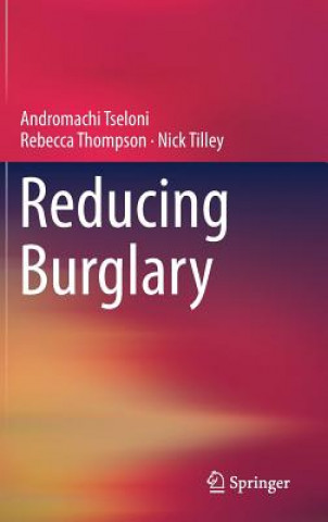 Kniha Reducing Burglary Andromachi Tseloni