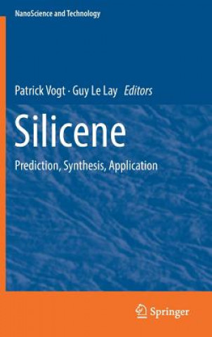 Buch Silicene Patrick Vogt