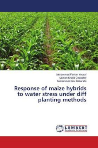 Könyv Response of maize hybrids to water stress under diff planting methods Muhammad Farhan Yousaf