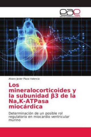 Könyv mineralocorticoides y la subunidad &#946;3 de la Na, K-ATPasa miocardica Alvaro Javier Plaza Valencia