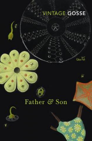 Könyv Father and Son Edmund Gosse