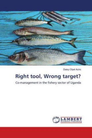 Knjiga Right tool, Wrong target? Daisy Olyel Aciro