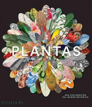 Könyv Plantas: Una Exploraci n del Mundo Bot nic (Plant: Exploring the Botanical World) (Spanish Edition) Phaidon Editors