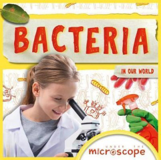 Kniha Bacteria Holly Duhig