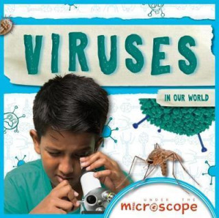 Kniha Viruses Holly Duhig