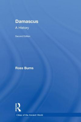 Книга Damascus Burns