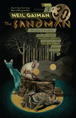 Könyv The Sandman Vol. 3 Neil Gaiman