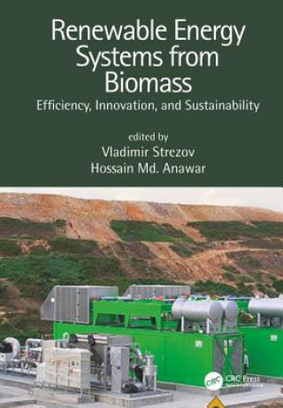 Книга Renewable Energy Systems from Biomass Vladimir Strezov