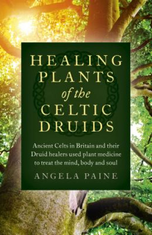 Könyv Healing Plants of the Celtic Druids - Ancient Celts in Britain and their Druid healers used plant medicine to treat the mind, body and soul Angela Paine