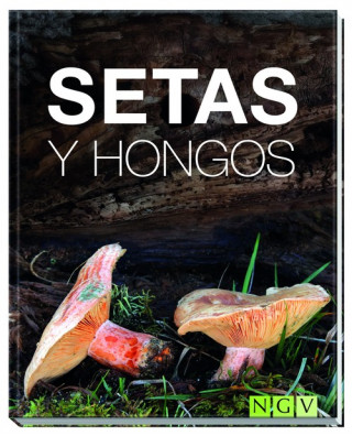 Kniha SETAS Y HONGOS 